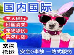 通辽空运国际宠物托运 【国